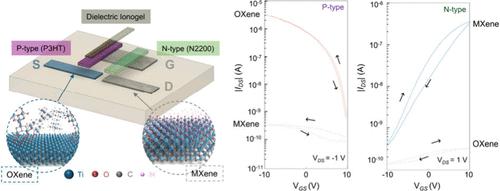 Symmetry Engineering in a 2D Transition Metal Enables Reconfigurable P- and N-Type FETs