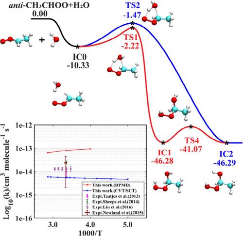 Determining Rate Coefficients for the 11-Atom Reaction via Ring Polymer Molecular Dynamics Based on a 27-Dimensional Potential Energy Surface: The Reaction between anti-CH3CHOO and H2O
