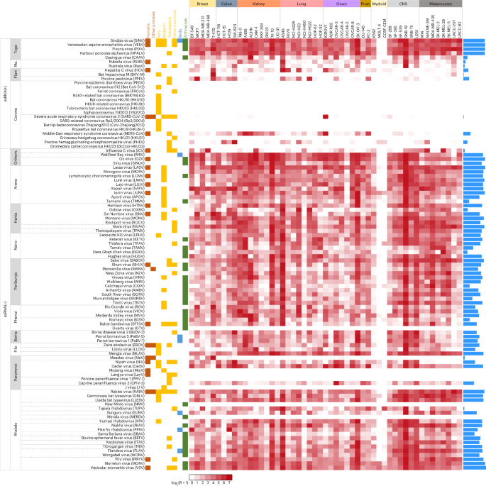 Receptor-binding proteins from animal viruses are broadly compatible with human cell entry factors