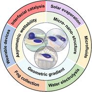 Interfacial fluid manipulation with bioinspired strategies: special wettability and asymmetric structures†