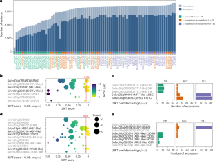 Repairing a deleterious domestication variant in a floral regulator gene of tomato by base editing