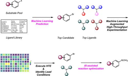 Accelerating the Development of Sustainable Catalytic Processes through Data Science