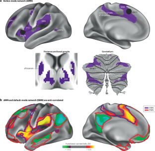 The brain’s action-mode network