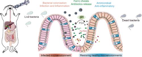 Functionalized Microsphere Platform Combining Nutrient Restriction and Combination Therapy to Combat Bacterial Infections