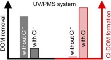 Effect of a high Cl– concentration on the transformation of waste leachate DOM by the UV/PMS system: A mechanistic study using the Suwannee River natural organic matter (SRNOM) as a simulator of waste leachate DOM