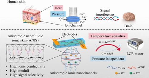 Anisotropic Nanofluidic Ionic Skin for Pressure-Independent Thermosensing