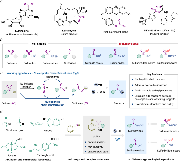Reductive sulfinylation by nucleophilic chain isomerization of sulfonylpyridinium