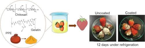 Improvement of the physical-chemical, microbiological, volatiles and sensory quality of strawberries covered with chitosan/gelatin/pomegranate peel extract-based coatings