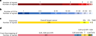 Refining breast cancer genetic risk and biology through multi-ancestry fine-mapping analyses of 192 risk regions