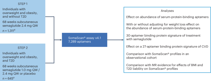 Proteomic changes upon treatment with semaglutide in individuals with obesity