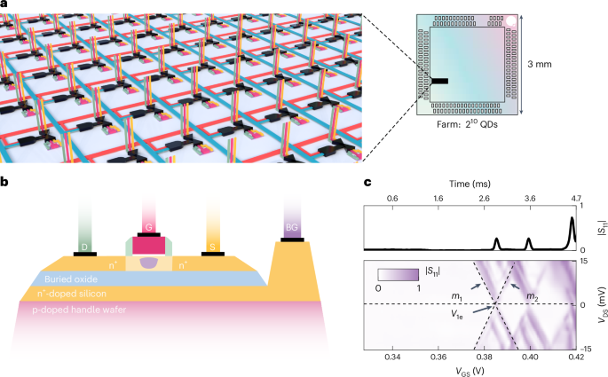 Rapid cryogenic characterization of 1,024 integrated silicon quantum dot devices