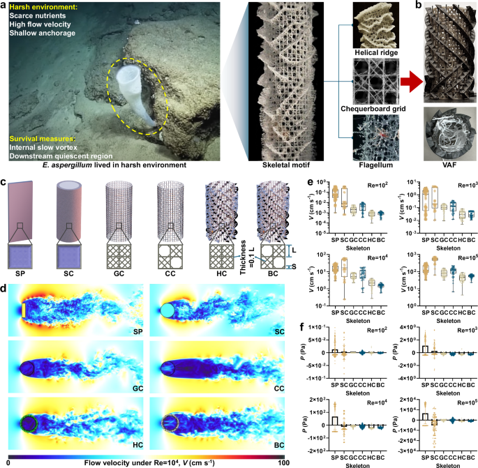 A filter inspired by deep-sea glass sponges for oil cleanup under turbulent flow