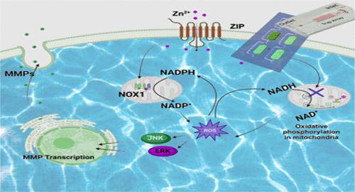 Highly Efficient Dual-Probe Strategy toward Single-Cell Metabolite Analysis