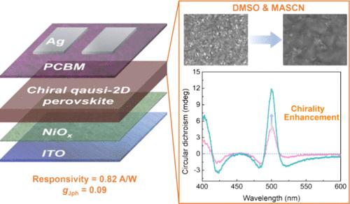A Self-Powered Circularly Polarized Light Photodetector with High Responsivity Based on the Chiral Quasi-2D Perovskite Film.