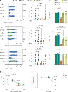 Pivotal role of exogenous pyruvate in human natural killer cell metabolism