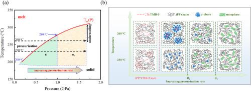 Pressurization induced crystallization of iPP containing self-assembly β-nucleating agents: Role of pressurization rate and temperature