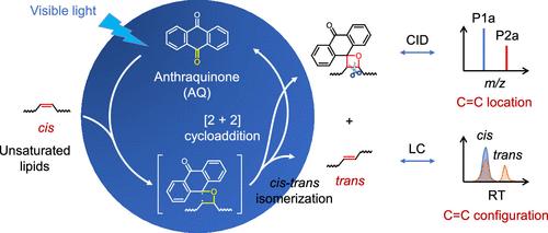 Tracking the Geometric and Positional Isomerization of Lipid C═C Bonds in the Bacterial Stress Responses by Mass Spectrometry