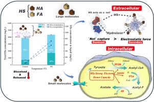 Influence mechanisms of released humic substances during sludge thermal hydrolysis on anaerobic digestion: Roles of humic and fulvic acids