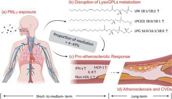 Lysoglycerophospholipid metabolism alterations associated with ambient fine particulate matter exposure: Insights into the pro-atherosclerotic effects