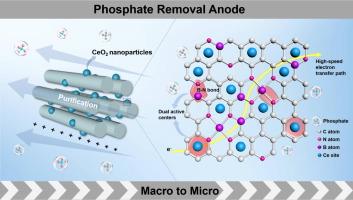 Constructing enhanced dual active centers on mesoporous carbon electrode for efficient phosphate removal through capacitive deionization