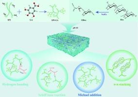 Hydrogel formed in situ through Schiff base reaction between gallic acid-grafted soybean protein isolate and oxidized dextran: Interactions, physicochemical properties, and digestive characteristics