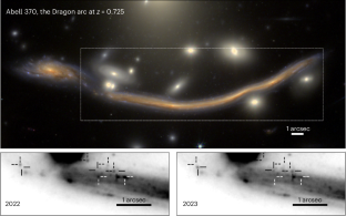 Identification of more than 40 gravitationally magnified stars in a galaxy at redshift 0.725