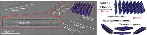 Ordered Photoexfoliation for Polypseudorotaxane Nanosheets