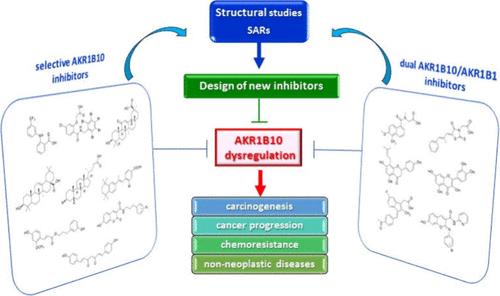 In Search for Inhibitors of Human Aldo-Keto Reductase 1B10 (AKR1B10) as Novel Agents to Fight Cancer and Chemoresistance: Current State-of-the-Art and Prospects