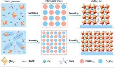 Manipulating Intermediate Surface Energy for High-Performance All-Inorganic Perovskite Photovoltaics