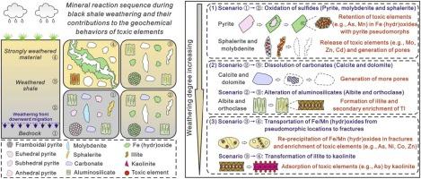 Mineral-dependent release, migration and enrichment of toxic elements during black shale weathering: An integrated study from profile scale to mineral scale