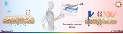 Passive Isothermal Flexible Sensor Enabled by Smart Thermal-Regulating Aerogels