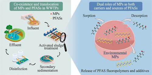 Unveiling the Truth of Interactions between Microplastics and Per- and Polyfluoroalkyl Substances (PFASs) in Wastewater Treatment Plants: Microplastics as a Carrier of PFASs and Beyond