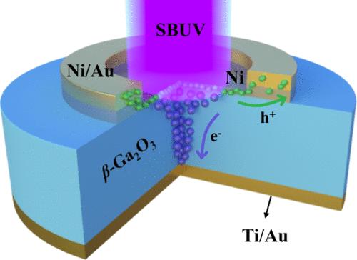 High-Performance Solar-Blind Ultraviolet Photodetectors Based on a Ni/β-Ga2O3 Vertical Schottky Barrier Diode