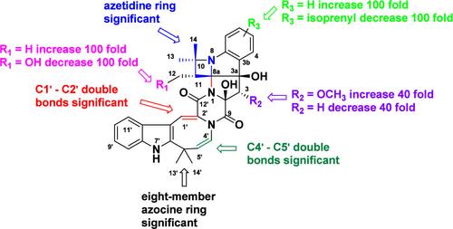 Structure, Nuclear Magnetic Resonance Data, Biological Activity, and Synthesis of the Okaramine Family Compounds