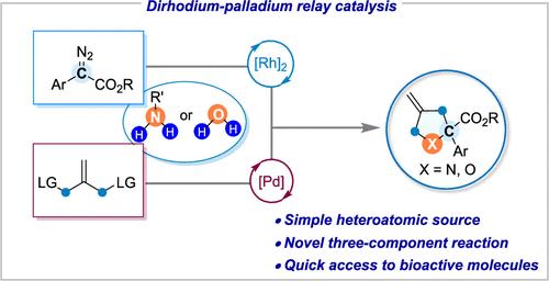 Dirhodium–Palladium Dual-Catalyzed [1 + 1 + 3] Annulation to Heterocycles Using Primary Amines or H2O as the Heteroatom Sources