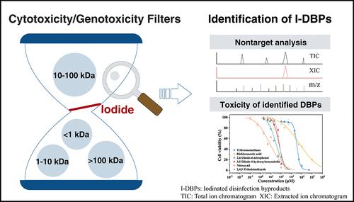 High Molecular-Weight Organics as Precursors for Toxic Iodinated Disinfection Byproducts during Chloramination