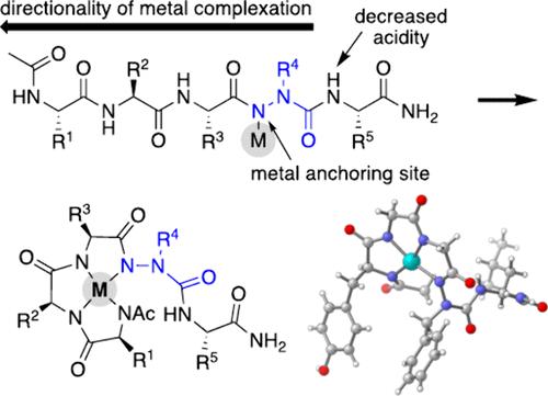 Metallo-azapeptides: Controlled Metal Chelation to Peptide Backbone Nitrogen