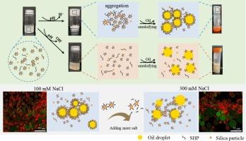 Stability of electrostatically stabilized Pickering emulsion of silica particles and soy hull polysaccharides: Mechanism of pH and ionic strength