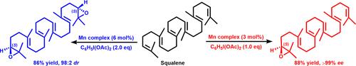 Highly Position- and Enantioselective Catalytic Epoxidation of Polyolefins Mediated by a Chiral Mn Complex, Including a One-Step Conversion of Squalene to the (S)-2,3-Epoxide, a Precursor of Natural Steroids and Terpenoids