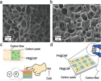 High-Performance n-type Organic Thermoelectric Aerogels Toward Flexible Energy Harvesting and Sensing Devices