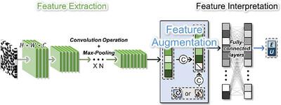 Enhancing Prediction Performance and Generalizing for Transverse Behavior of Unidirectional Composites via Strategic Input Feature Augmentation