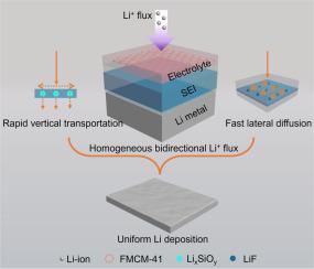 Vertical & lateral ion-flux modulated ion-conductive SEI for high-performance Li-metal batteries