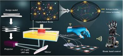 Highly Flexible, Stretchable, and Compressible Lignin-Based Hydrogel Sensors with Frost Resistance for Advanced Bionic Hand Control