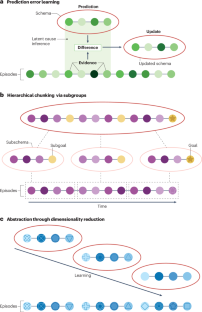 Schemas, reinforcement learning and the medial prefrontal cortex