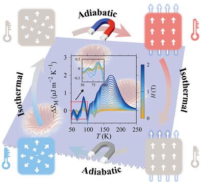 Topological Magnetic Textures Mediated Magnetocaloric Effect in Janus Monolayer