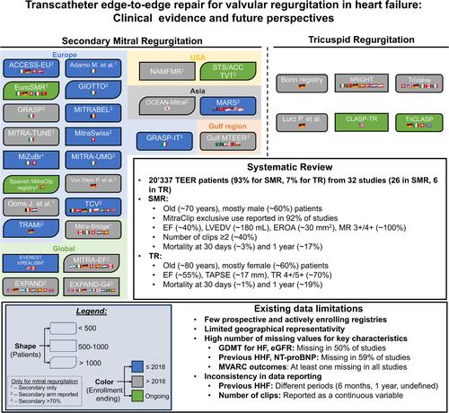 Registries on transcatheter edge-to-edge repair in heart failure: Current evidence and future perspectives