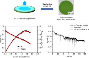 Evaluation of electrochemical performance and carbon deposition behaviour of Sn, Ag, Cu, Fe-doped Ni/ScCeSZ anode solid oxide fuel cells operated with simulated biogas