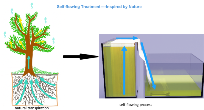 Bioinspired self-flowing wood chemical treatment
