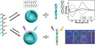 Photo-Controllable Förster Resonance Energy Transfer Based on Dynamic Chiral Self-Assembly of Sequence-Defined Amphiphilic Alternating Azopeptoids