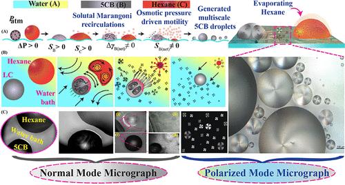 Recirculatory Solvotaxis of a Nematic Droplet on Water Surface Enabling Miniaturization